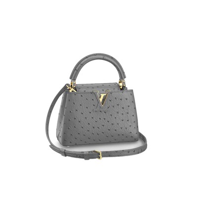 LOUIS VUITTON CAPUCINES MINI M95509 (21*14*8cm)